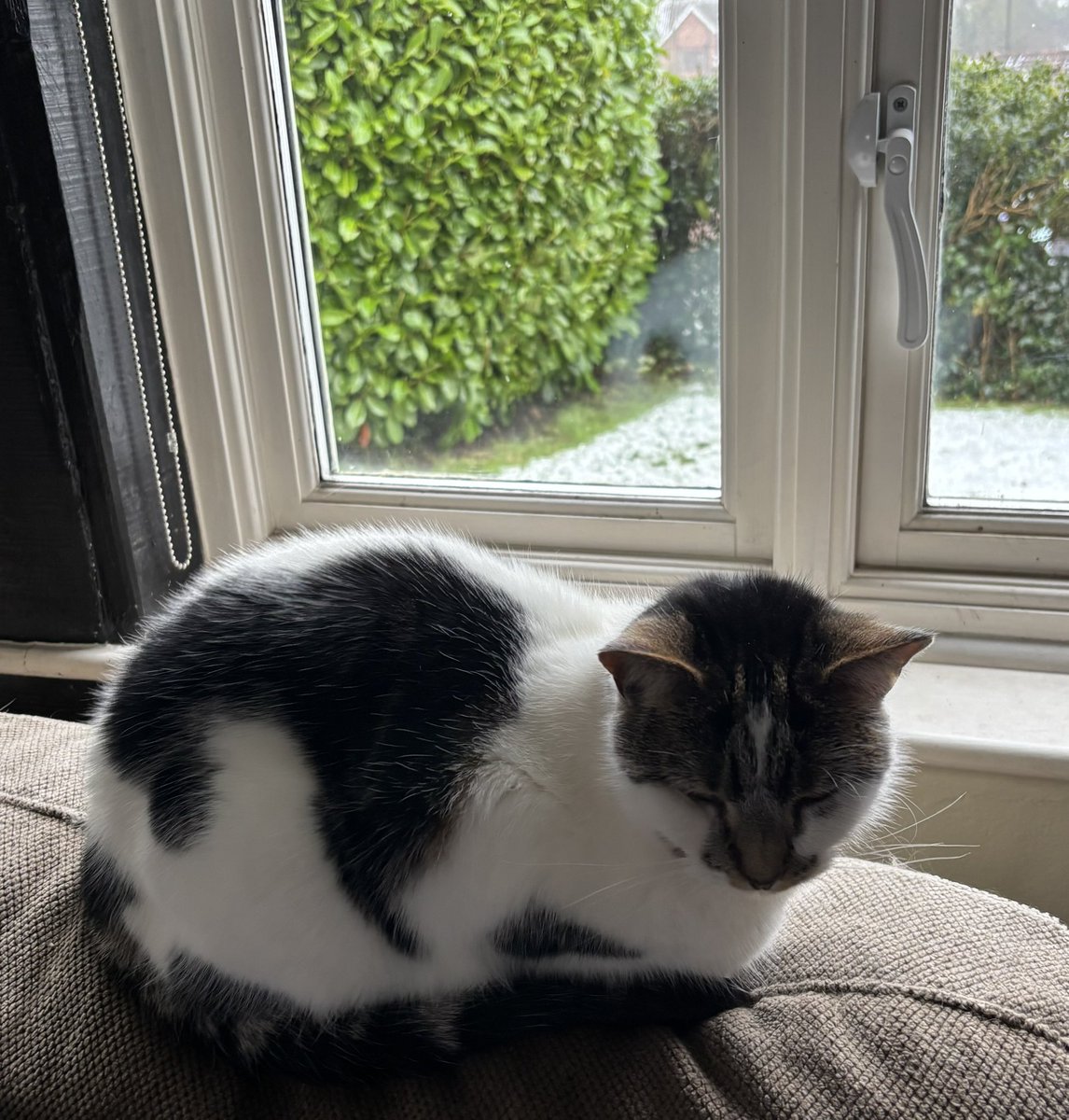 Princess Morgan and Lady Evie tweet media