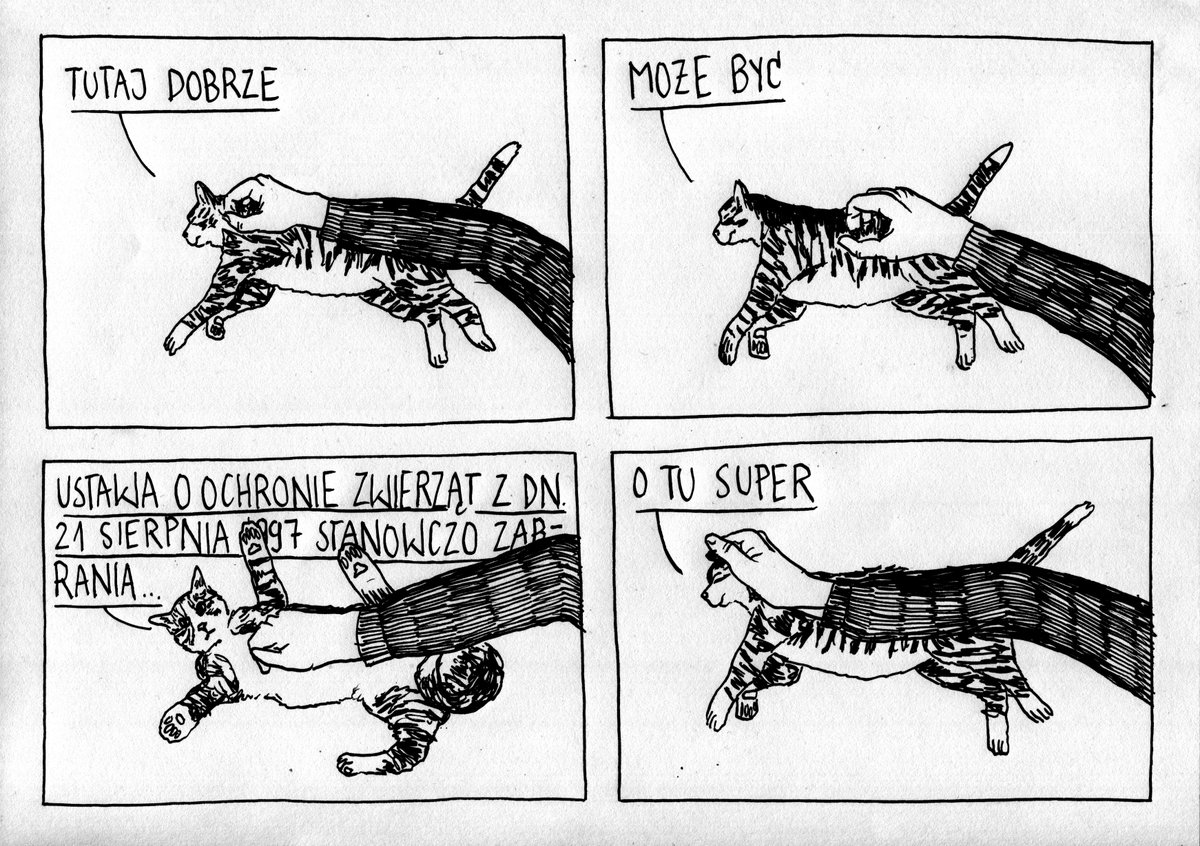 SmutneHistorie's tweet photo. zbrodnie przeciwko kotowatości. #satyra #kot #zofka #drapanko #drapudrap #ustawaoochroniezwierząt https://t.co/Wxr0NRGvdp