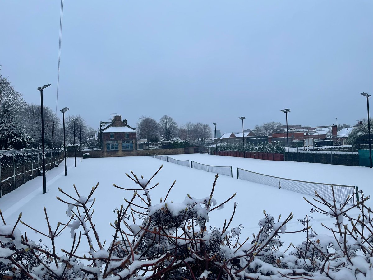 If you are wondering why the first Sunday social play session of 2025 was cancelled.....
Thanks to Josh for the photo! ❄️
