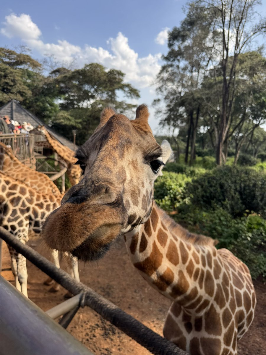 They say Africa changes you—guess I’m head and shoulders above where I started.