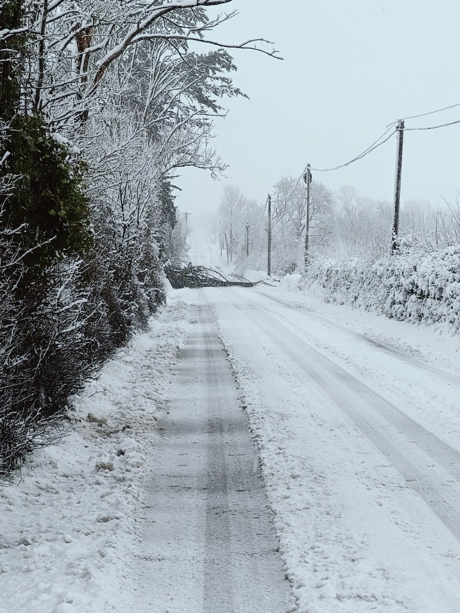 derekcom's tweet photo. @countykerry tree down just outside Firies on the Miltown road. It's passable at the moment as someone was able to remove some of it. https://t.co/VA1siqvIIY