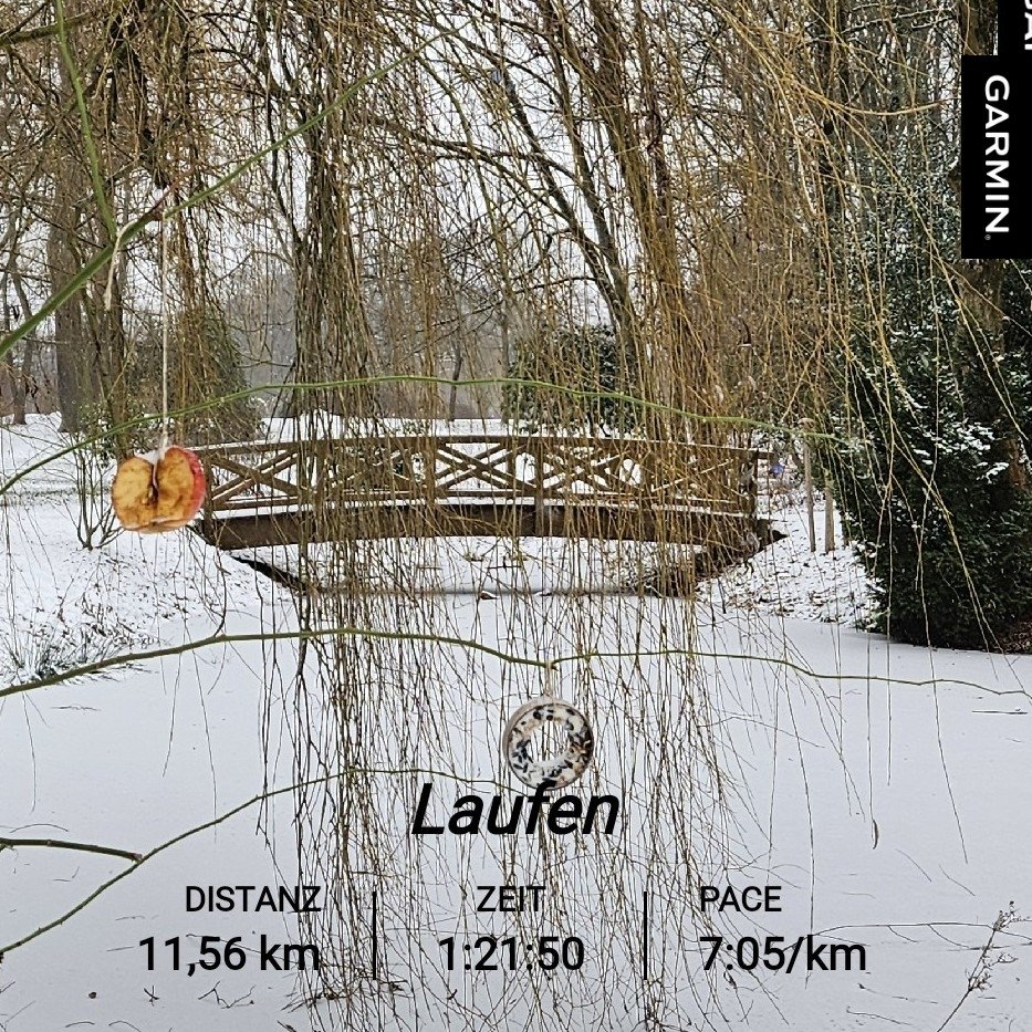 NorMandyhier's tweet photo. Die ersten 11km sind gelaufen 👍 #Sonntagsrunde mit Treppentraining 😱 #laufliebe #running #laufenistfreiheit #laufenddurchchemnitz #nevernotrunning #laufenimwinter https://t.co/JBctxha9zV