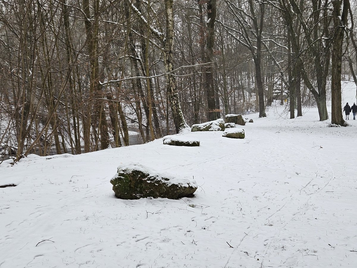 NorMandyhier's tweet photo. Die ersten 11km sind gelaufen 👍 #Sonntagsrunde mit Treppentraining 😱 #laufliebe #running #laufenistfreiheit #laufenddurchchemnitz #nevernotrunning #laufenimwinter https://t.co/JBctxha9zV