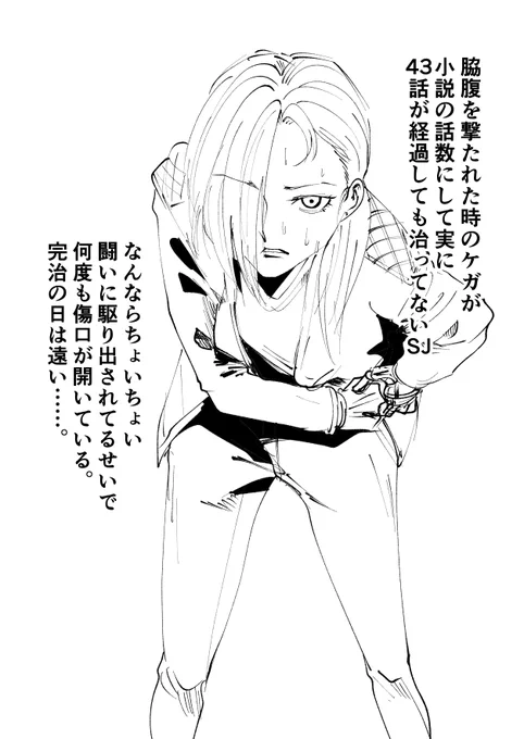 #すだちの創作キャラ
SJの受難は続く…… 