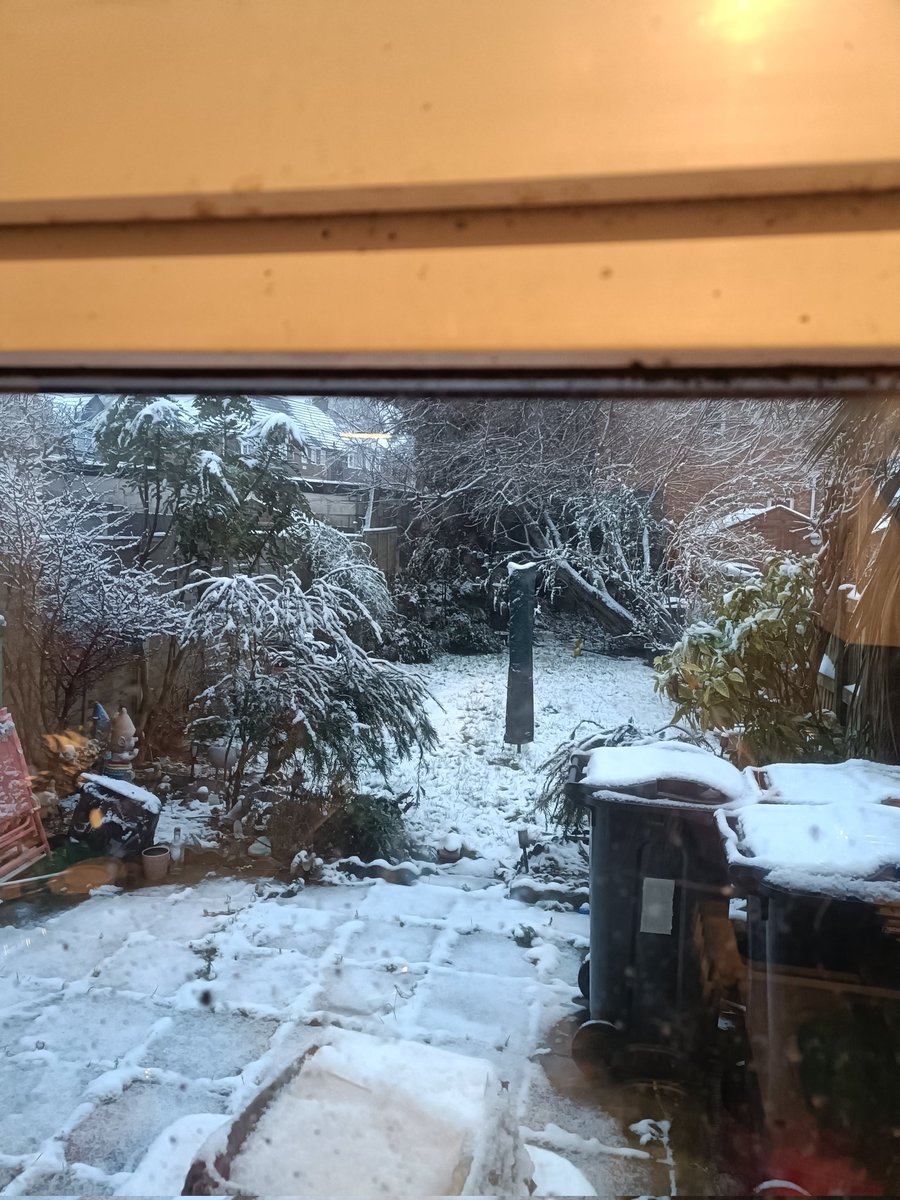 <a href="/moggymainecoon/">Princess Morgan and Lady Evie</a> This was us in Longbridge at 9am this morning