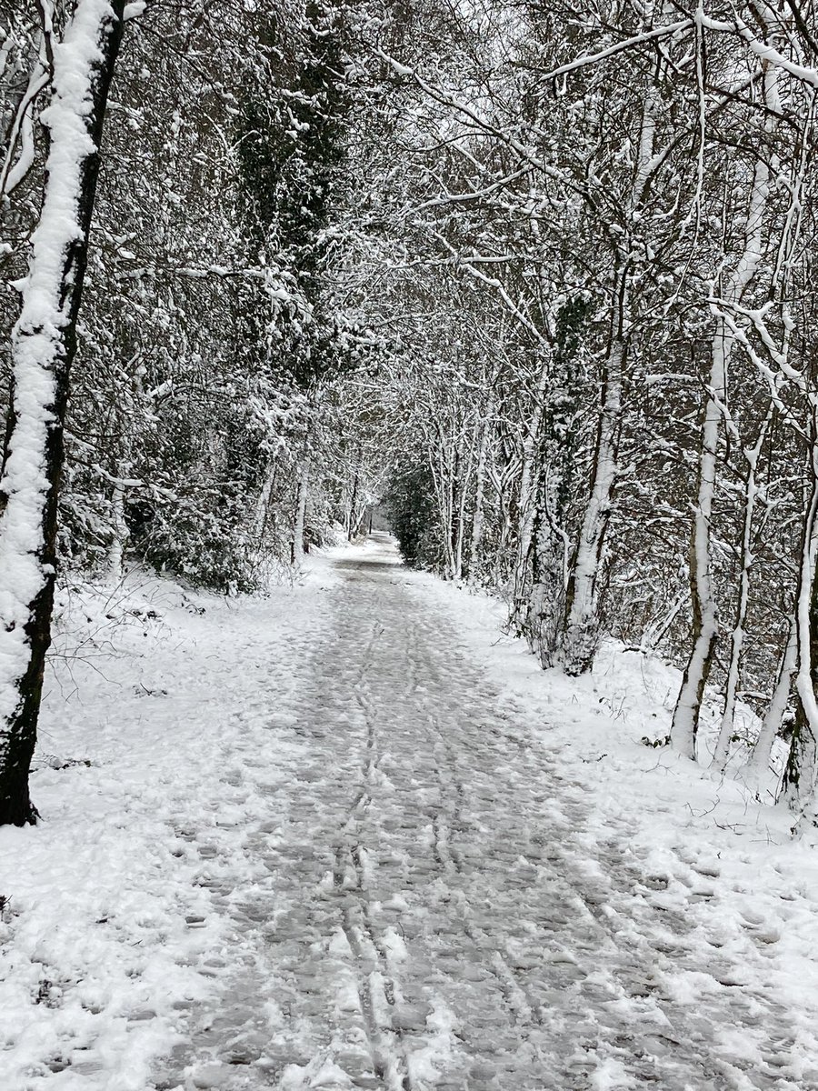 Andy Clark tweet media