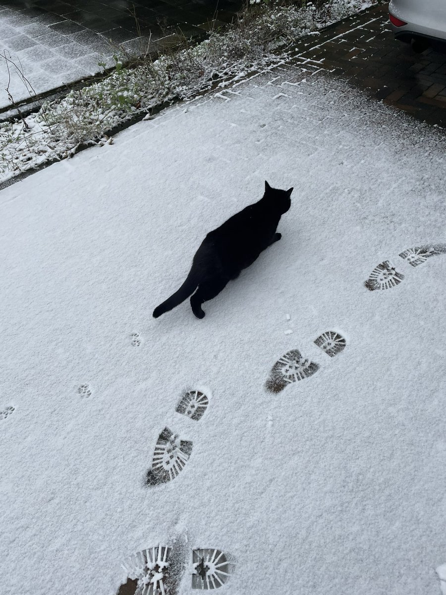 LizzyMissLizz's tweet photo. Are you friggin’ kidding me human? https://t.co/8HlRlMszmb