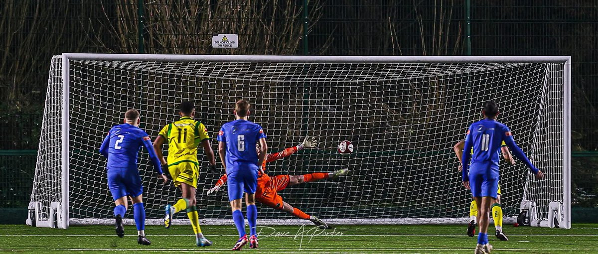 SavWood7 tweet media