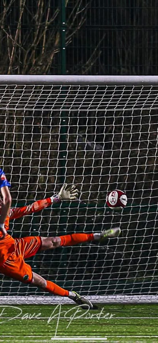 SavWood7 tweet media