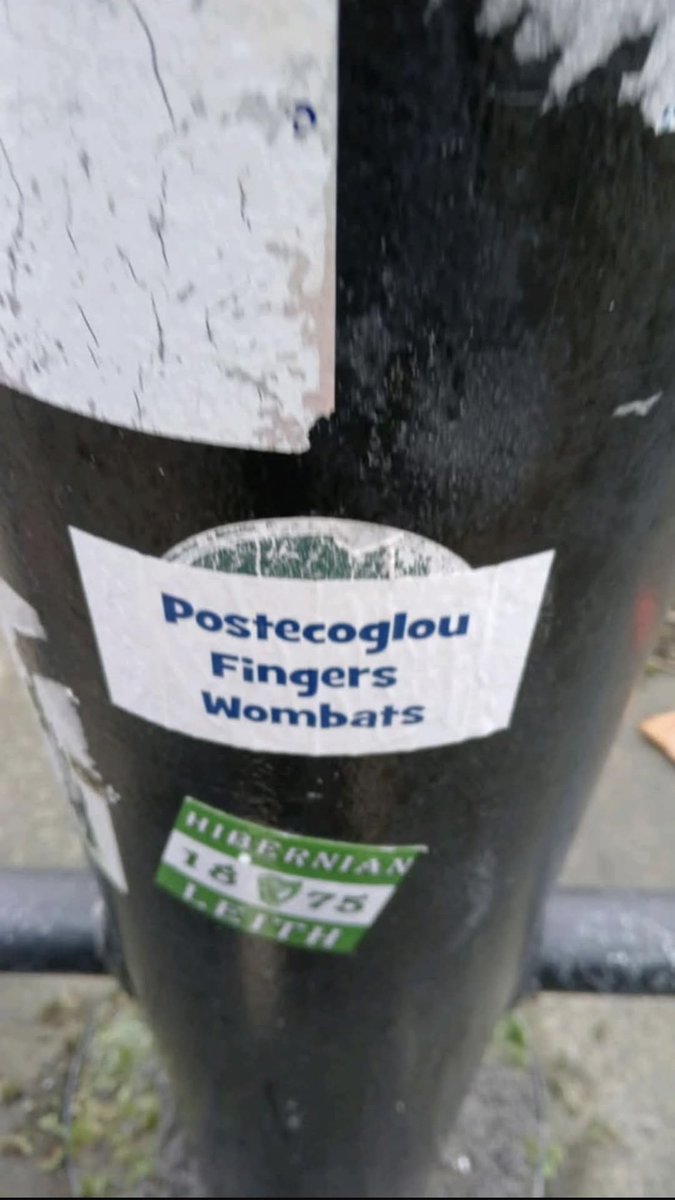 Newcastle Consortium Supporters tweet media