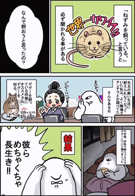 これは何度目の再掲か分からない
私がラットを初めて飼った時のお話 
