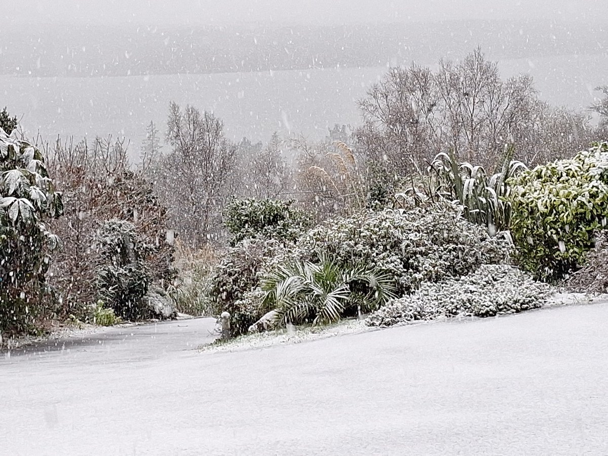 Valhalla_BnB's tweet photo. @CarlowWeather Snowing also on the Ring of Kerry https://t.co/QAptv7VHhy