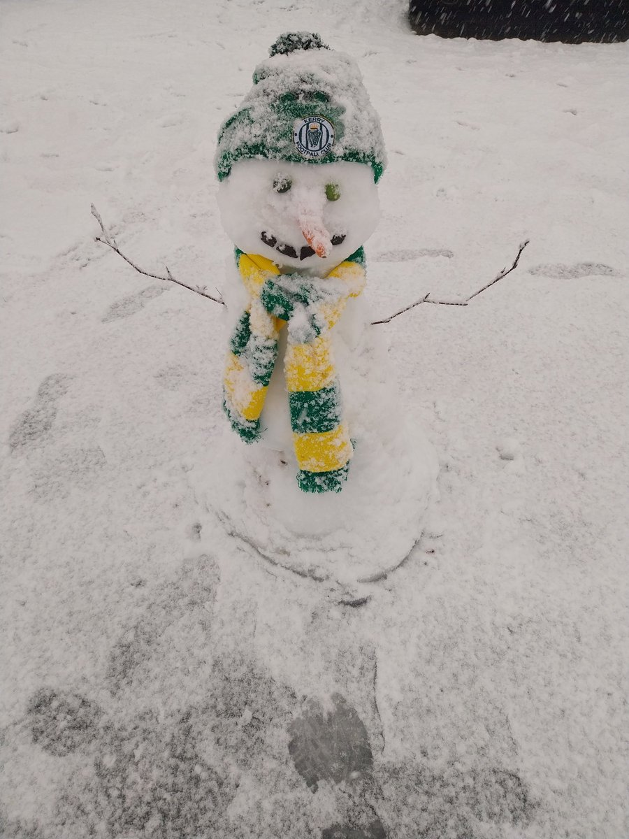 donalbrosnan's tweet photo. @KerryFC New signing! https://t.co/y6TcqerAuZ