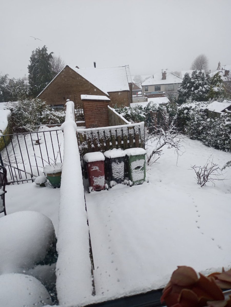 Anyone got snow? 
Coal Aston does!