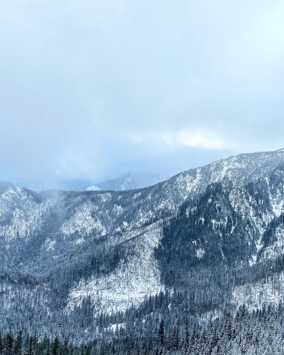 GEOTRAMPER's tweet photo. Góry, góry i po górach 🏔️ Co prawda pogoda pozostawiała wiele do życzenia, ale baterie naładowane i może wytrzymają do kolejnego wyjazdu 🤪😀 #tatry https://t.co/4xz5Xm4AFT