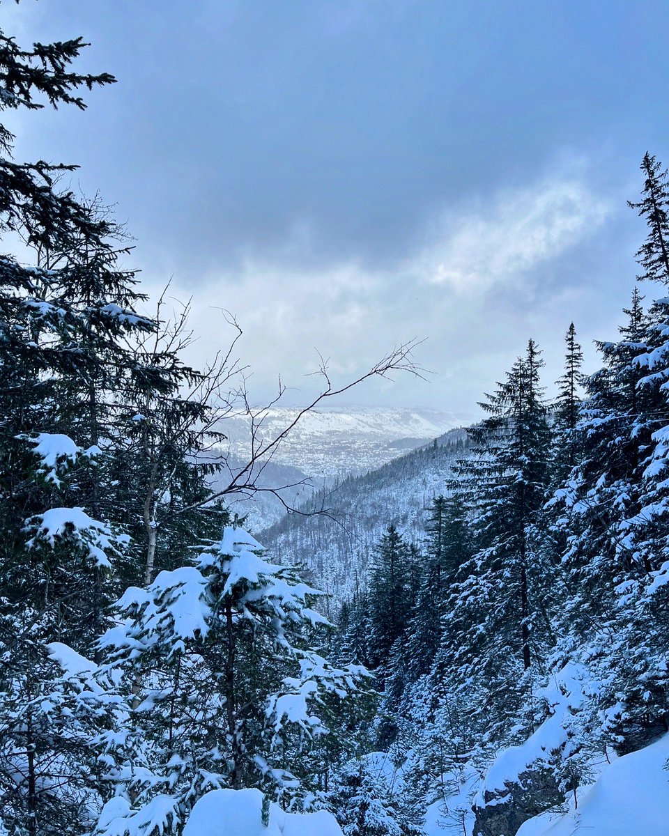 GEOTRAMPER's tweet photo. Góry, góry i po górach 🏔️ Co prawda pogoda pozostawiała wiele do życzenia, ale baterie naładowane i może wytrzymają do kolejnego wyjazdu 🤪😀 #tatry https://t.co/4xz5Xm4AFT