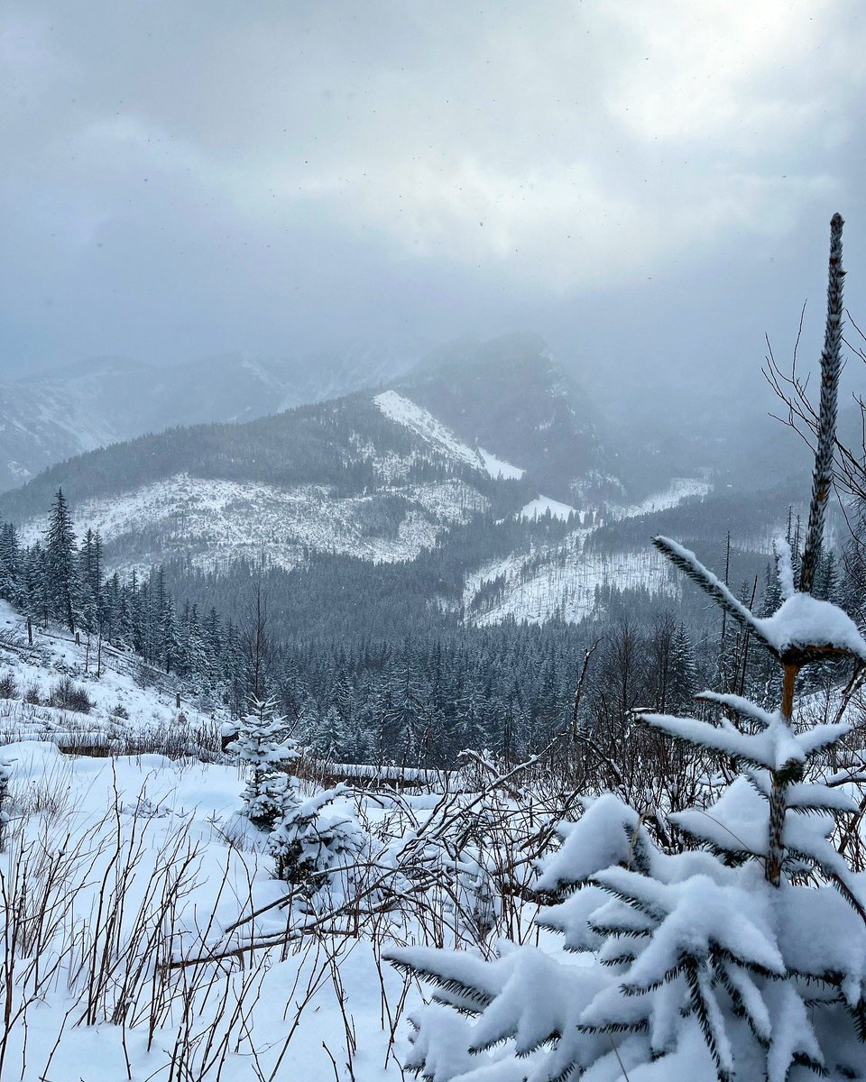 GEOTRAMPER's tweet photo. Góry, góry i po górach 🏔️ Co prawda pogoda pozostawiała wiele do życzenia, ale baterie naładowane i może wytrzymają do kolejnego wyjazdu 🤪😀 #tatry https://t.co/4xz5Xm4AFT