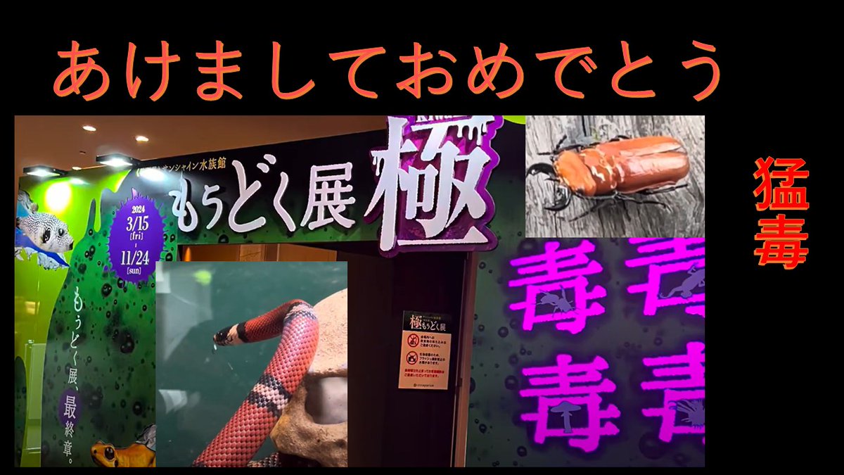 o2SXpY6mgwollmU's tweet photo. 明日20時半プレミア公開です！ヘビの話もします
お楽しみに
＃youtube

もうどく展　極　見聞録 https://t.co/2g42wxsvj7 via @YouTube https://t.co/aKtFJUQDSO