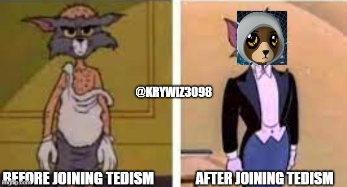 TM 

Day 1 of posting content for Tedism 🐻⛓️

First, I want to tell about the project. Stready Teddys is an NFT project on the berachain.

I'm so bullish on this project because this project is crazy; there is no roadmap. That's bullish instead of fake promises. Teddys clearly