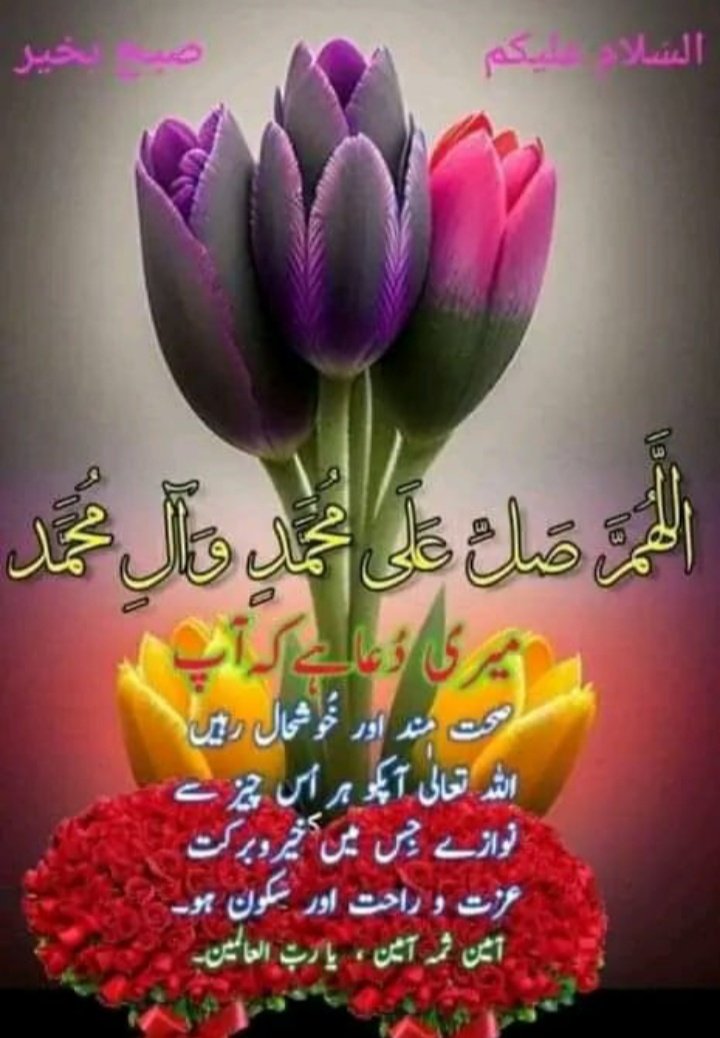 Pearls_For_Life's tweet photo. صبح بخیر https://t.co/8zuXkDZvVH