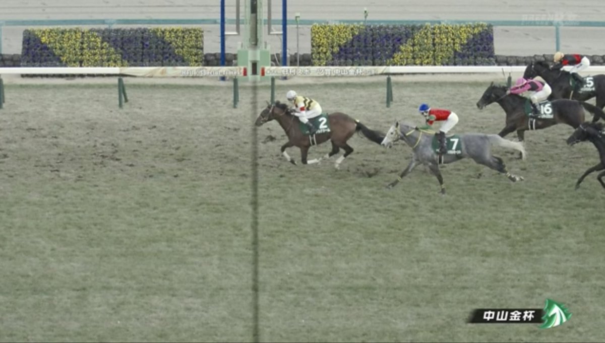 Tomo065869191's tweet photo. 中山金杯🐎 https://t.co/3JYNxkJDnT