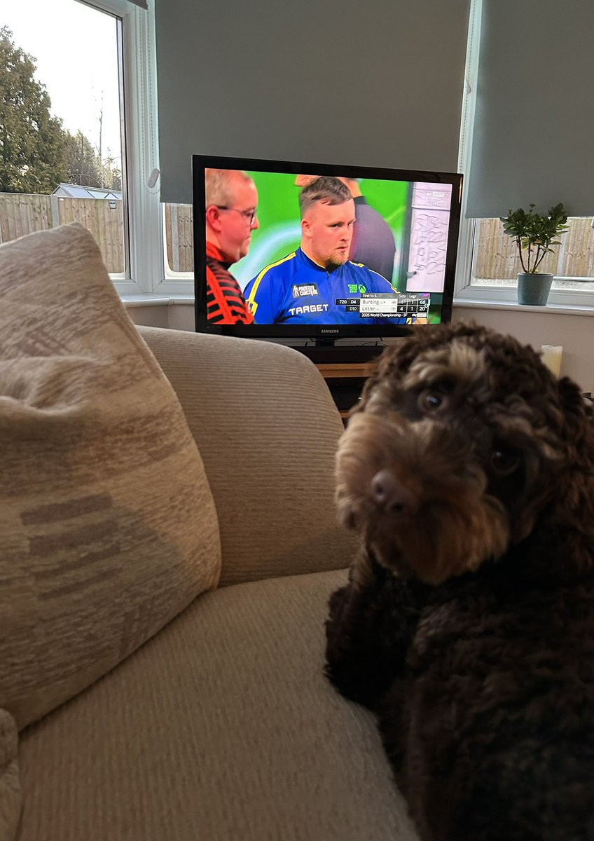 TelfordMad's tweet photo. @LukeTheNuke180 Well Done Luke 👏  Monty loved watching you play too. https://t.co/7PcWz2nKU5