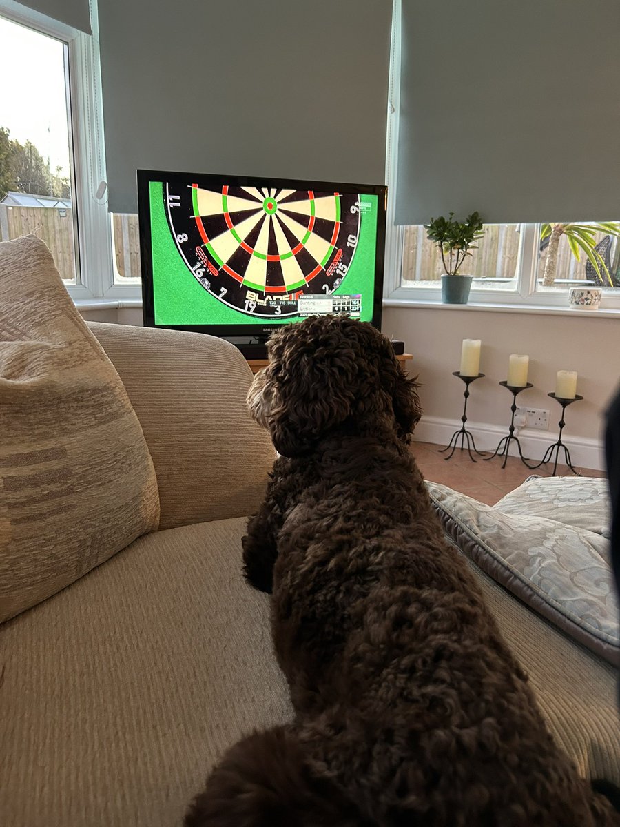 TelfordMad's tweet photo. @LukeTheNuke180 Well Done Luke 👏  Monty loved watching you play too. https://t.co/7PcWz2nKU5