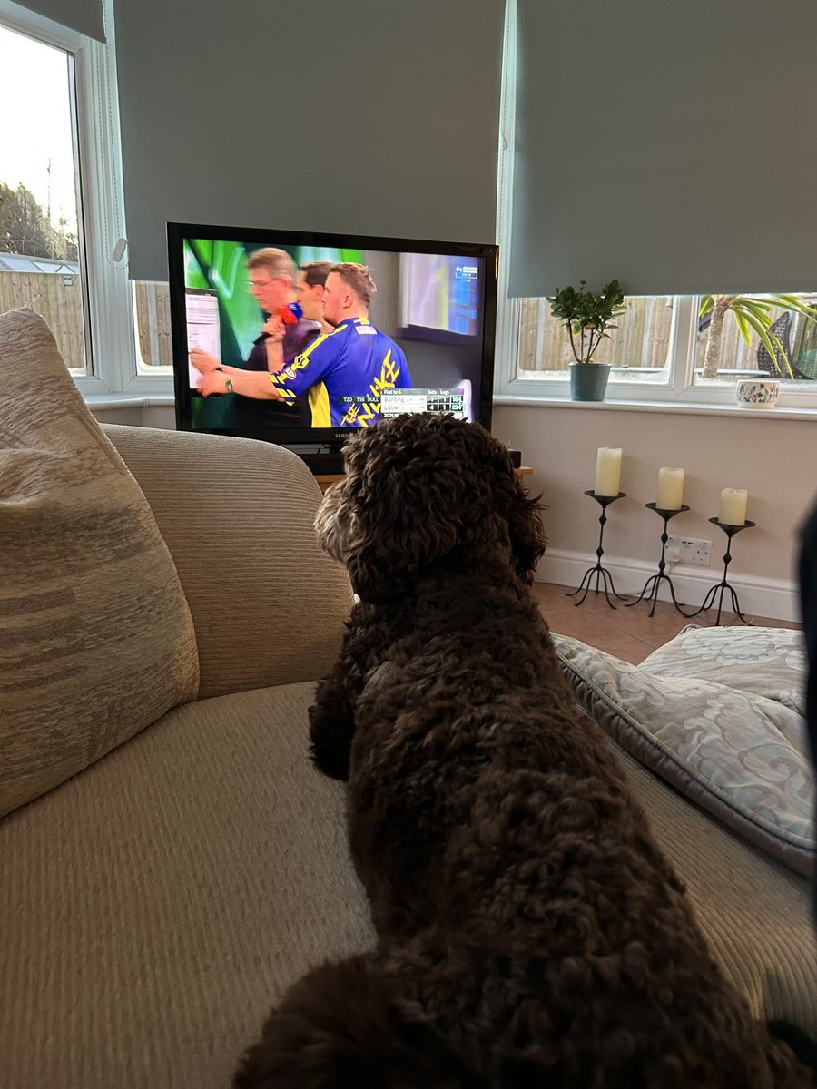 TelfordMad's tweet photo. @LukeTheNuke180 Well Done Luke 👏  Monty loved watching you play too. https://t.co/7PcWz2nKU5