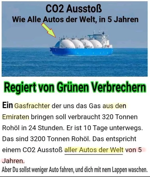 elke tweet media