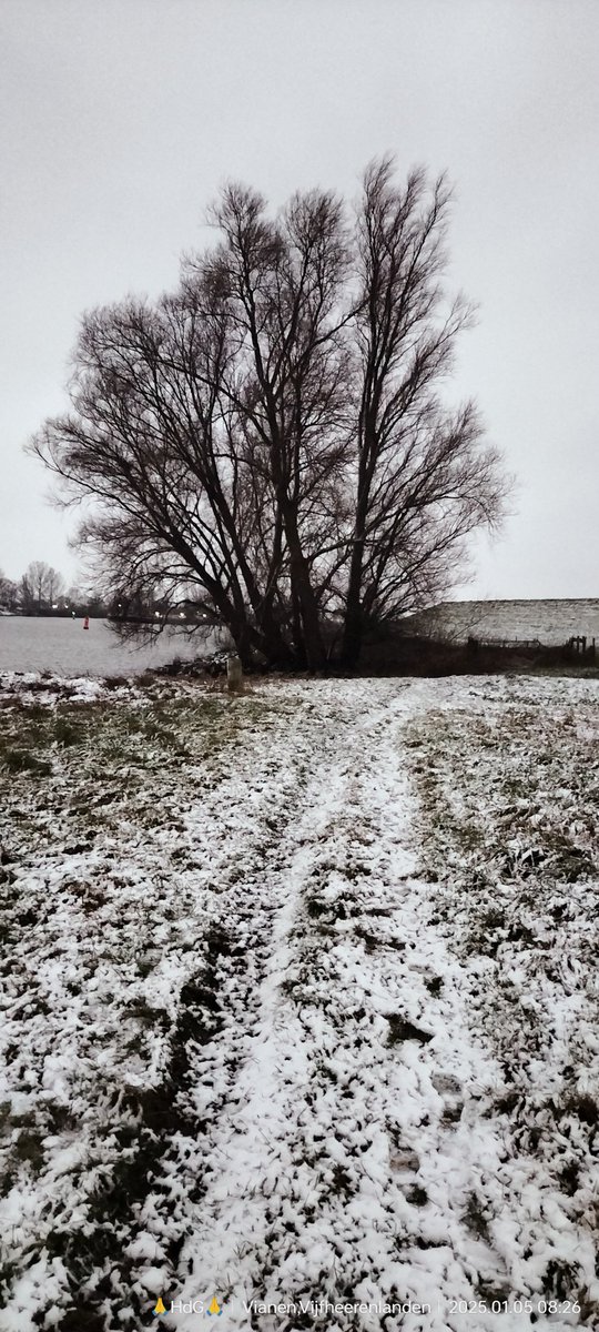Harferrari's tweet photo. @LucasDegen Yep, in IJsselstein ook! ❄️🌨️ https://t.co/PEdyuP1xlL