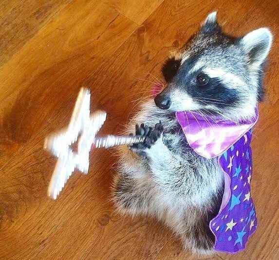 ereniumcrypto's tweet photo. 💜RM FAM!

Günaydın, mutlu pazarlar☀️

🦝Fotoğrafım ifşa olmuş haha https://t.co/A8W04bFTFq