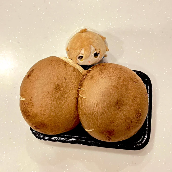 ともやくん、巨マッシュルームだよって書くつもりだったけど爆乳に見えてきたな 