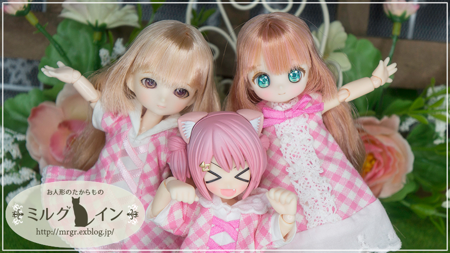 mrgrneko's tweet photo. SugarCups ビスケティーナ～Star Sprinkles～レーベルショップ秋葉原オープン7周年記念モデル (アゾンダイレクトストア限定販売)とTwinkle Sign series no.2 Nina[ニーナ]とミミーガーデン博物誌のミャムです。
#ニナシェリ #TwinkleSign #アゾカツ #シュガーカップス
#1月12日は12分の1の日 https://t.co/d93Xi5SsRe
