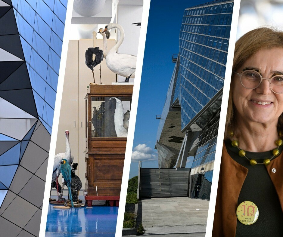 leprogreslyon's tweet photo. [Long format] 🔓
Déjà une décennie que le @mdc_confluences est solidement amarré à l'entrée sud de #Lyon. Bâtiment devenu emblématique il est aussi un mastodonte de la #culture. Pour l'occasion @leprogreslyon retrace son aventure, à retrouver ici ➡️ https://t.co/KSWXEmFOT5 https://t.co/tCYc0ZwWNm