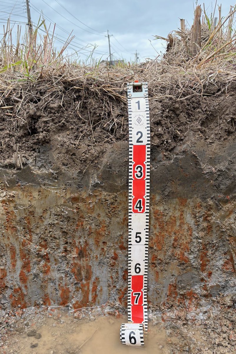 EllenCYYang's tweet photo. Beautiful plinthite in the tropical humid paddy field 🌾
1/ fluctuation of water table creates the irreversible pedogenic characteristic: plinthite.
detailed below 👇 https://t.co/iYw82Uxe3t
