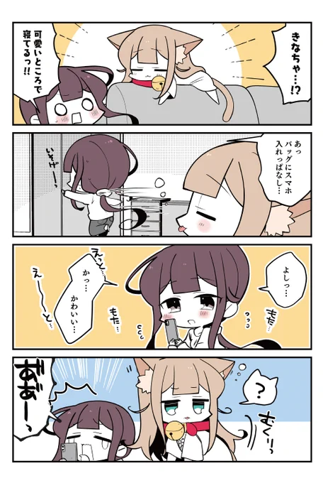 🐈108話 難しいよね
小倉さん家のきなこ 