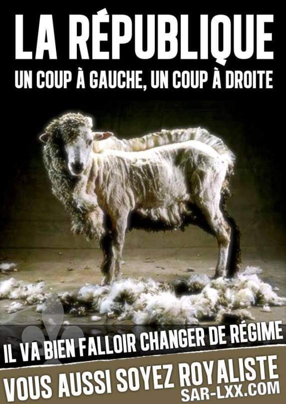 MenteCorpore34's tweet photo. @Pascal_Laurent_ Mais la raie publique 🍑 a besoin de ces chers #mougeons #qui les mettent au pouvoir suprême et qui les financent ...

#republicrassie ➕️ #democasserie ➕️ #cleptocratie

¡¡¡ #Dieuserit 😇 #nous aussi :  #bandedecharlots !!! https://t.co/EcAR7eoKPM