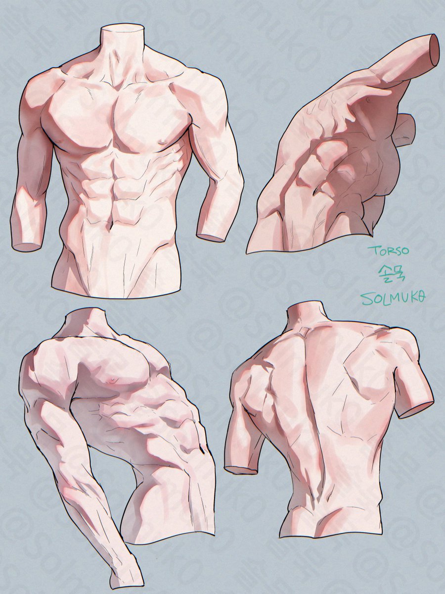 Solmuk0's tweet photo. 토르소 스터디 https://t.co/dvAohLfaKb
