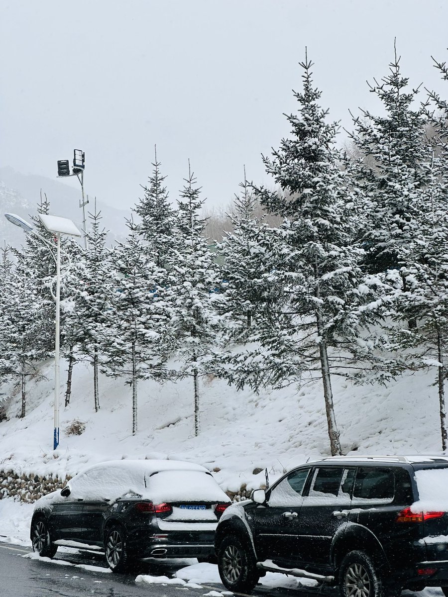 ElanChou tweet media