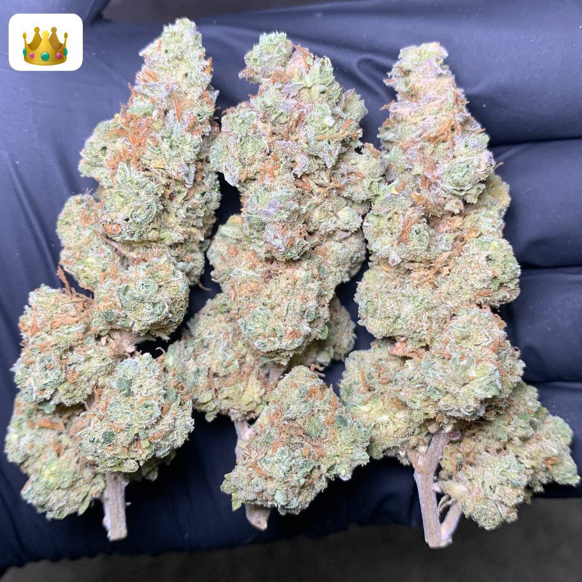 2424_weed's tweet photo. この中の超極上💐10gを10人にプレゼントします🎁

合計100g💯🎁

tele  ch
https://t.co/lzFNDVfHkb

signal ch

https://t.co/SSuXzmZwJu

２つのチャンネル登録完了の人が貰えます🎁

本物吸いたい人いますか？ https://t.co/P5fL292vqW