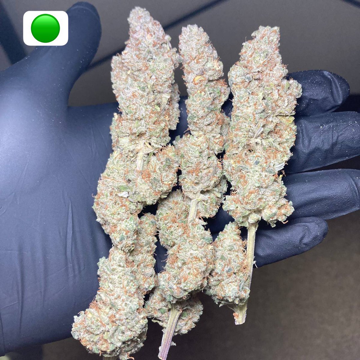 2424_weed's tweet photo. この中の超極上💐10gを10人にプレゼントします🎁

合計100g💯🎁

tele  ch
https://t.co/lzFNDVfHkb

signal ch

https://t.co/SSuXzmZwJu

２つのチャンネル登録完了の人が貰えます🎁

本物吸いたい人いますか？ https://t.co/P5fL292vqW