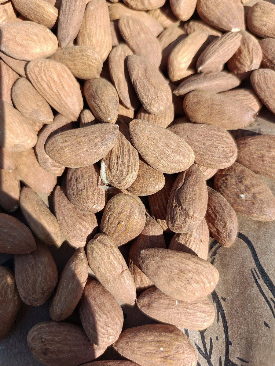 PavanShiram's tweet photo. #provfood selling disease with foods like Almonds and ect through some top most online platforms like #Amazon I have never seen this type of almonds in my whole life it causes very serious disease tooo. I never expected this from #Amazon #Food #AlmondProgress #Almonds #foodsafty https://t.co/8oMvbm4Whi