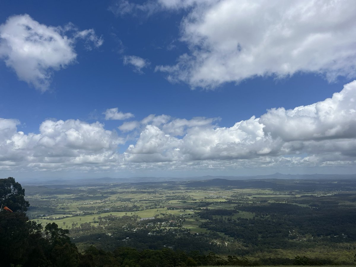 Frankycrazyplace (@frankycrazyaus) on Twitter photo 