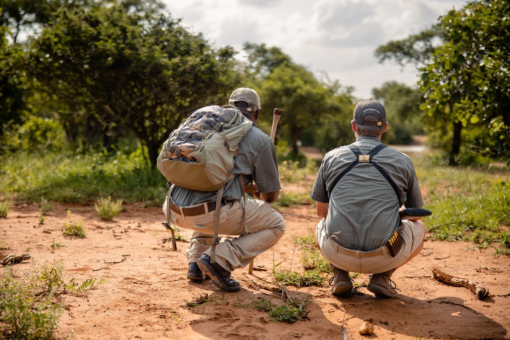 KapamaReserve's tweet photo. Step off the beaten track & experience nature on a whole new level with our guided bush walks. On foot, youโll find yourself immersed in the subtle rhythms of the wild. Itโs a rare chance to connect more closely with the landscape
#bushwalk #nature #safari
https://t.co/0HLU5LaJTu https://t.co/TbLaxVz8bo