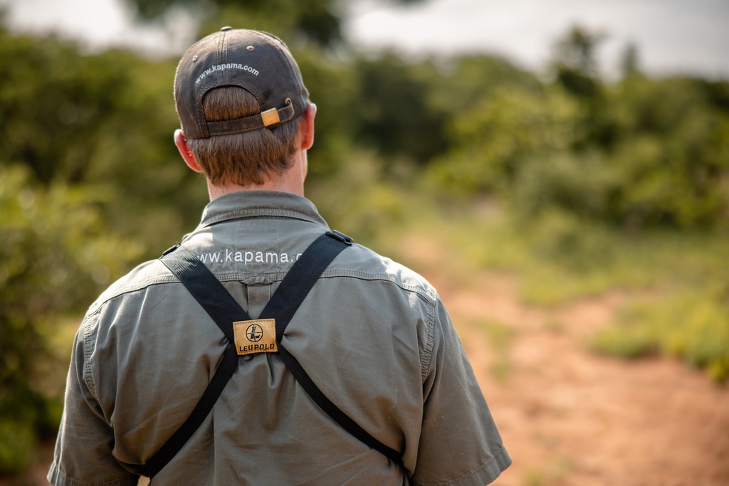 KapamaReserve's tweet photo. Step off the beaten track & experience nature on a whole new level with our guided bush walks. On foot, youโll find yourself immersed in the subtle rhythms of the wild. Itโs a rare chance to connect more closely with the landscape
#bushwalk #nature #safari
https://t.co/0HLU5LaJTu https://t.co/TbLaxVz8bo