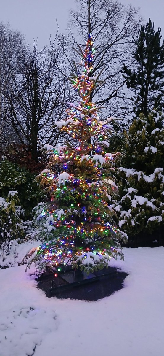 Breda Spaight tweet media