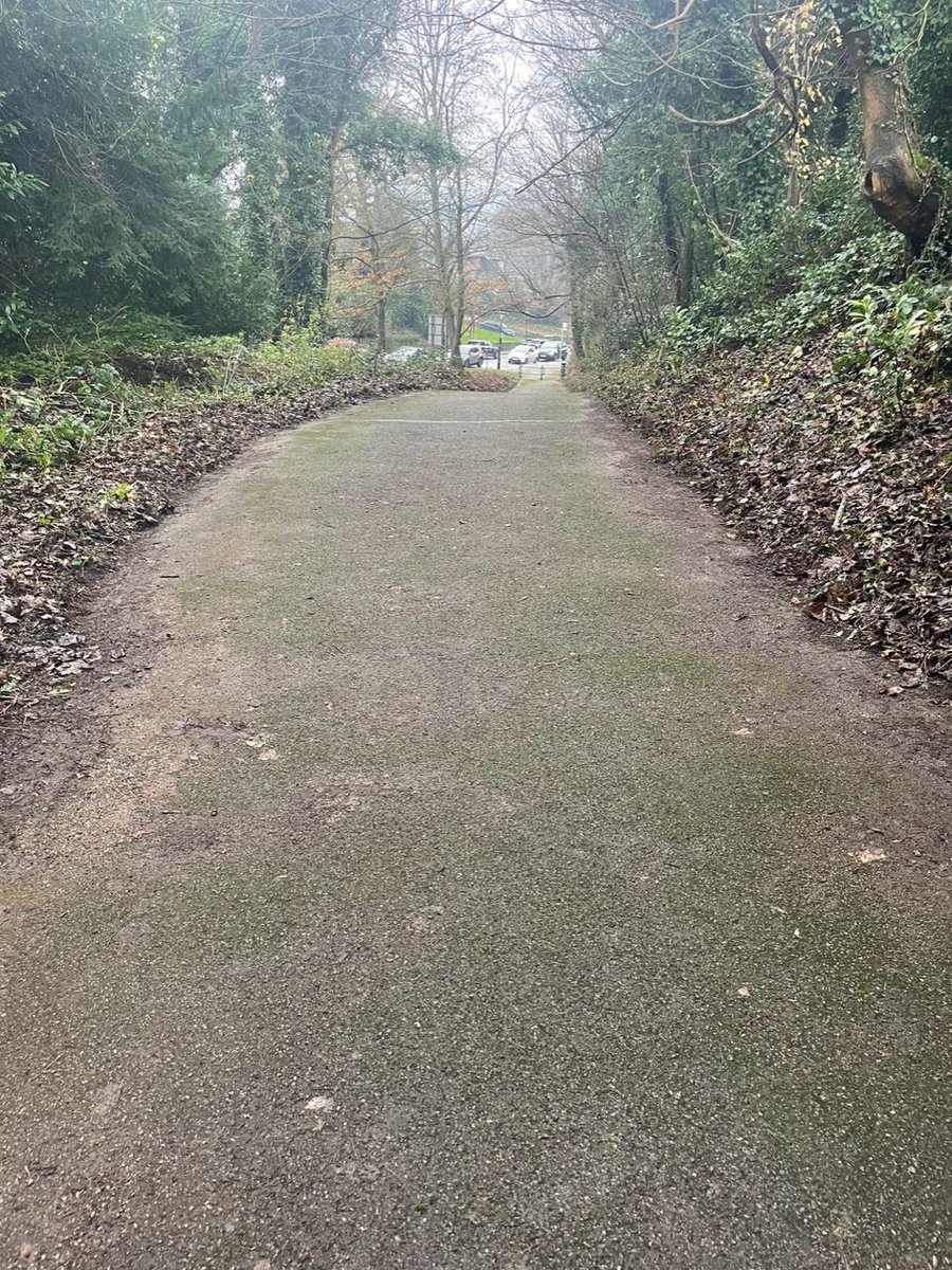 LimpsfieldPC's tweet photo. Clearance of Pebble Hill Footpath. Having cleared and re-widened this path (that runs between the village and #Limpsfield Infants School) a few years ago, we have again cleared the leaves, ivy and undergrowth and will be looking forward to seeing all the daffodils soon. https://t.co/eoon09ME0l