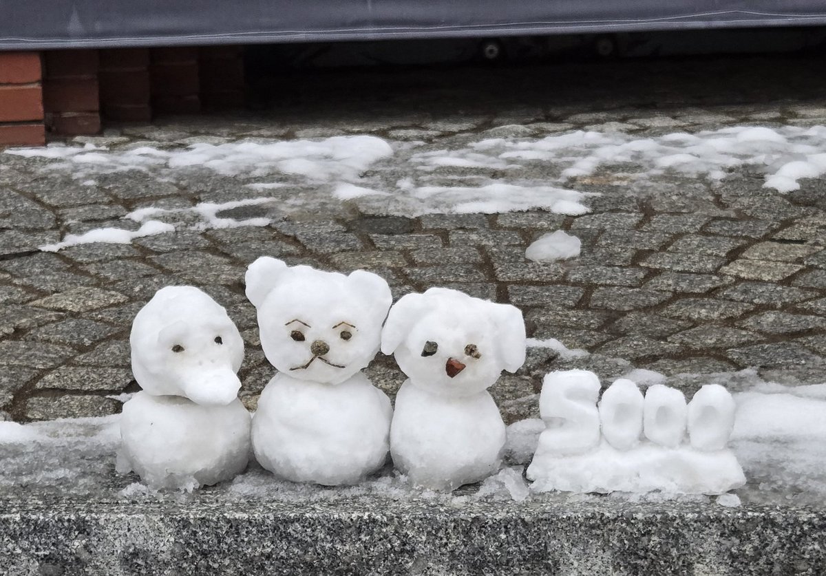 BIA4Joahye's tweet photo. 뒤늦게라도 오천 일 축하를 해주고 싶어서 눈사람을 만들어 보았습니다
다들 귀여워해주고 오빠들도 좋아해서 너무 뿌듯😊 다른 바나들도 하나 둘 사랑을 더해줘서 더 귀여운 눈사람들이 탄생!!☃️ https://t.co/WLEOwPV0VT