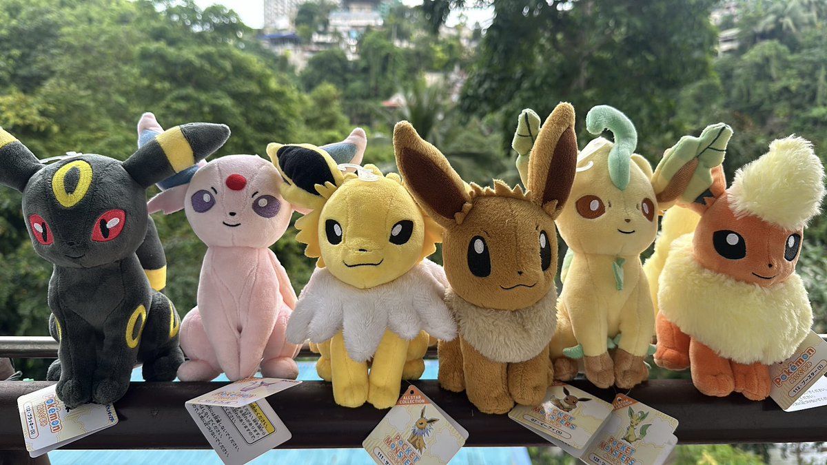 djdesquitado's tweet photo. my babies, almost complete 6/9 ☺️ #pokemon #eeveelution https://t.co/NBudgLO3Ft