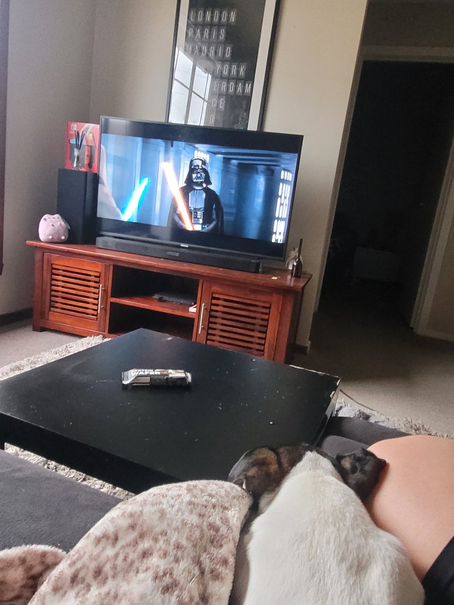 Sky_Bride's tweet photo. Saat akşam 8, dışarısı 40°.
Sadie ile oturmuş kendimize Star Wars izliyoruz. Yani o görmüyo ama seslere tepki veriyo ben anlatiyorum ona. (in English) Burdaki köpüşler Türkçe bilmiyo. 😒 
Gel diyorum gelmiyo "come" diyorum geliyo. https://t.co/ntUcdoZetY